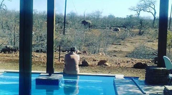 Kierieklapper Bush Lodge - Kruger