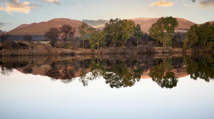 Hakuna Matata Adventures