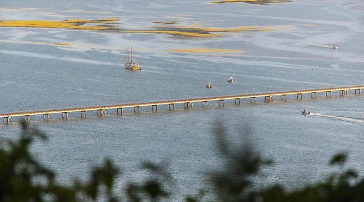 THEBLOEM Guest Suites