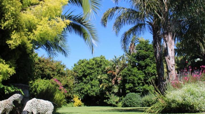 Cosy Corner Guest House