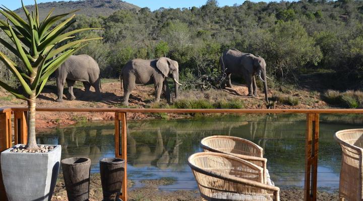 Barefoot Addo Elephant Lodge