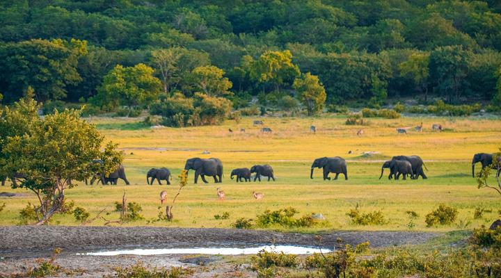 Iganyana Tented Camp