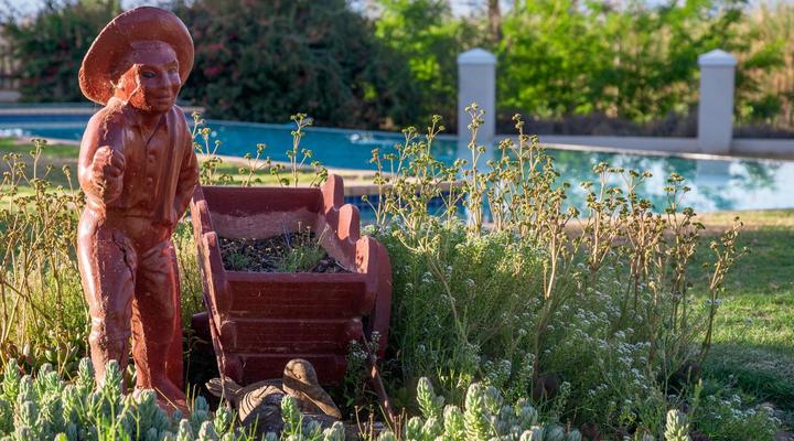 Bakenskraal Ostrich Palace