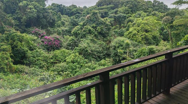 Thornleys Guest House