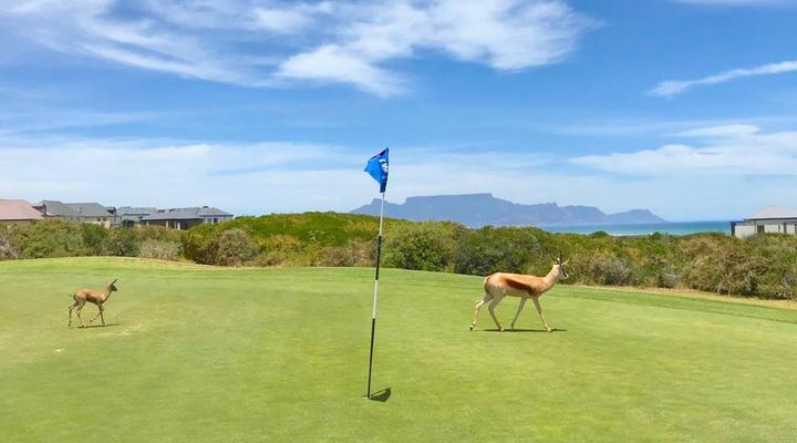 Tradewinds Guest House