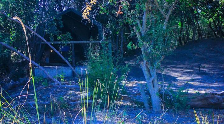 Kashete Plains Expedition & Campsite