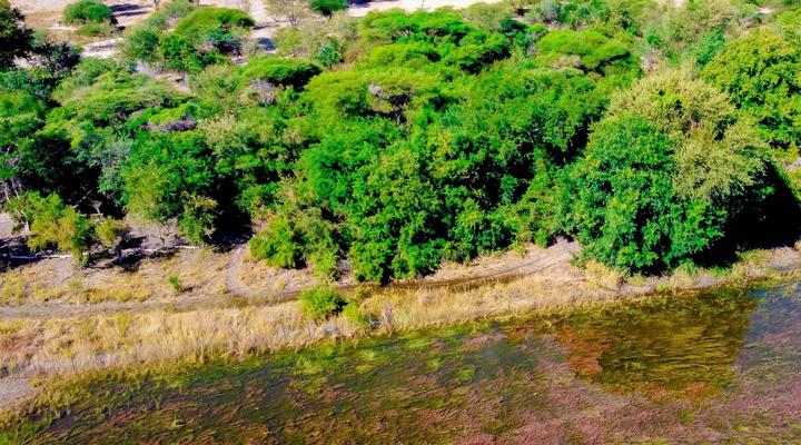 Kashete Plains Expedition & Campsite