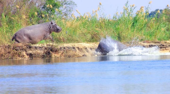 Kashete Plains Expedition & Campsite