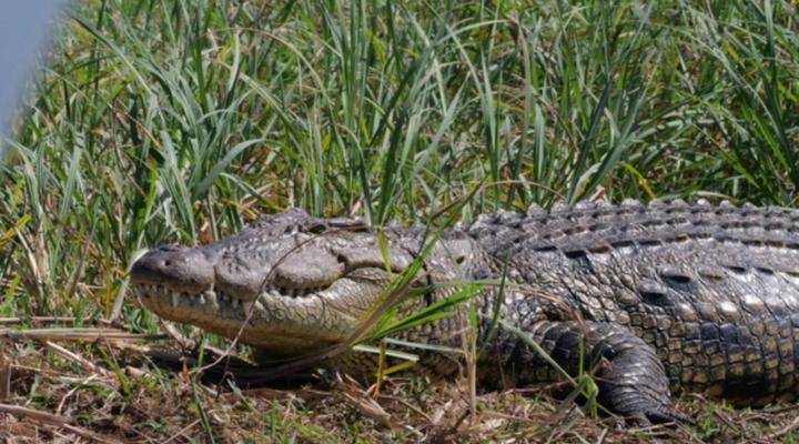 Kashete Plains Expedition & Campsite