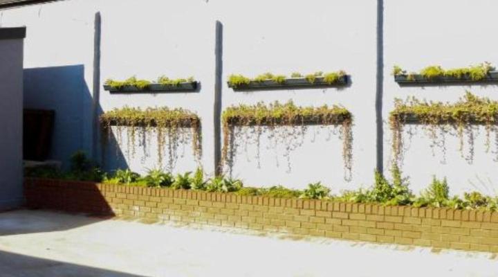 The Essenwood Collection