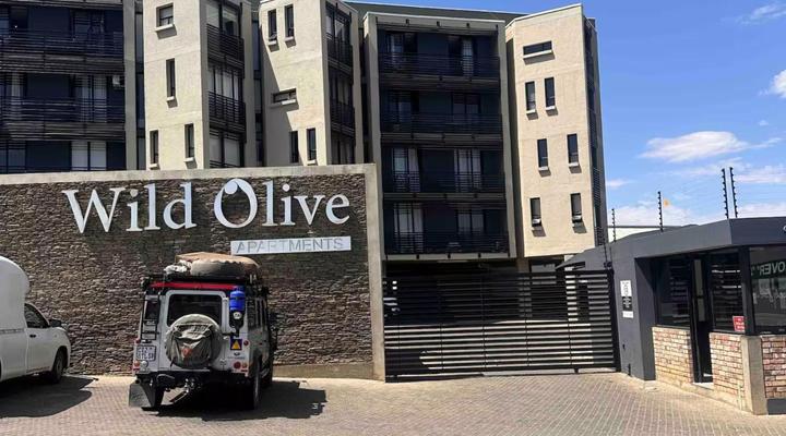 Wild Olive Collection