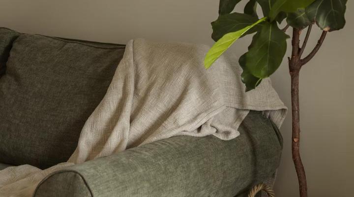 Wild Olive Collection