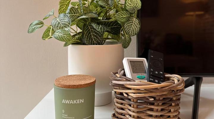 Wild Olive Collection