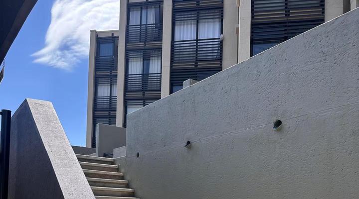 Wild Olive Collection