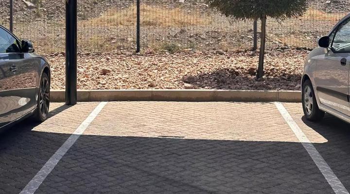 Wild Olive Collection