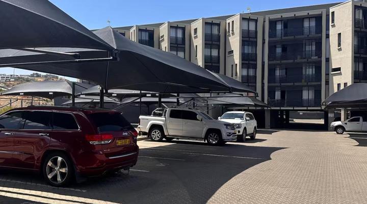 Wild Olive Collection