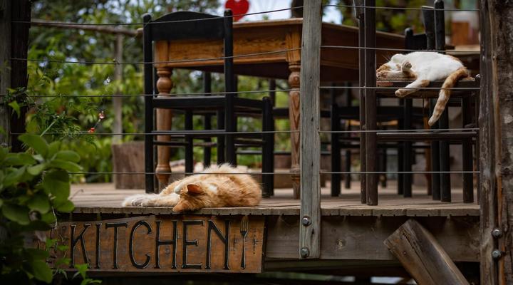 Wild Spirit Backpackers Lodge