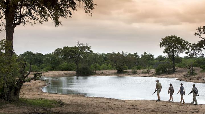 Tanda Tula Safari Camp