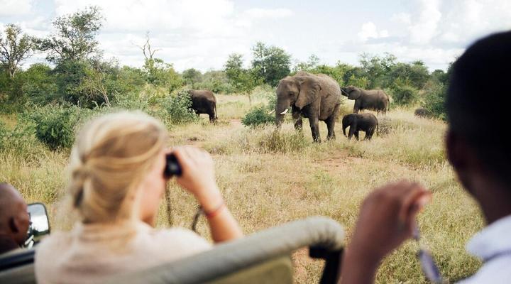 Tanda Tula Safari Camp