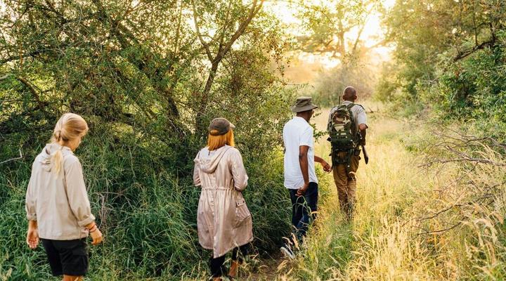 Tanda Tula Safari Camp