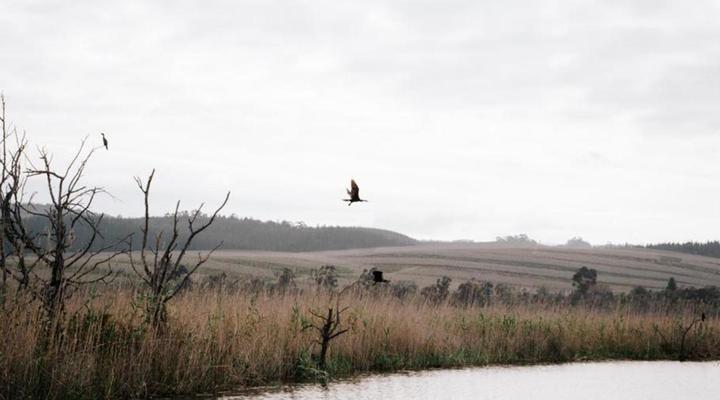 Swartvlei Guest Farm