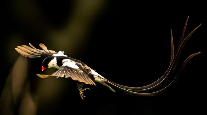 Swartvlei Guest Farm