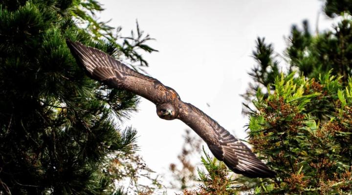 Swartvlei Guest Farm