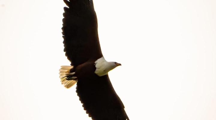 Swartvlei Guest Farm