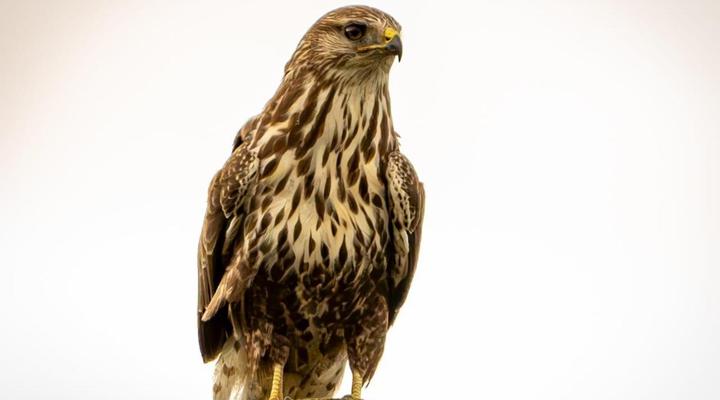 Swartvlei Guest Farm