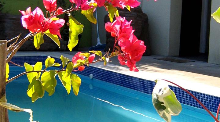 Cape Agulhas Backpackers