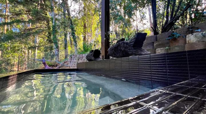 The Little Black Box