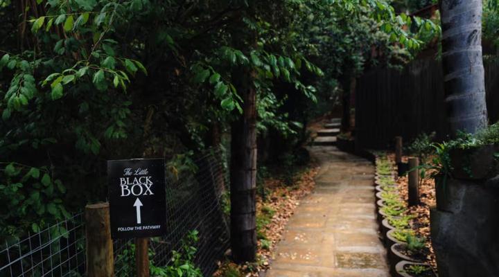 The Little Black Box