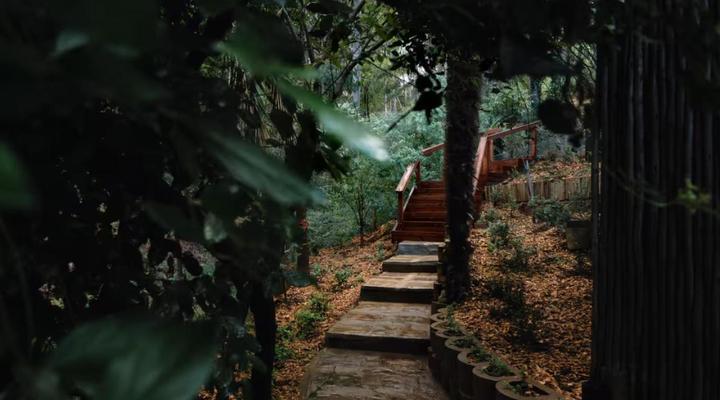 The Little Black Box