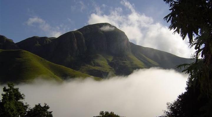 Forest Cottage self catering