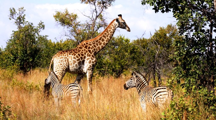 Bundhu-Rus Guest Farm