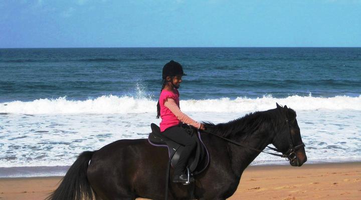 St Lucia @ The Bridge