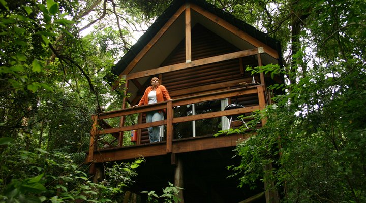 Kurisa Moya Nature Lodge