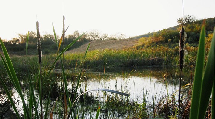 Kurisa Moya Nature Lodge