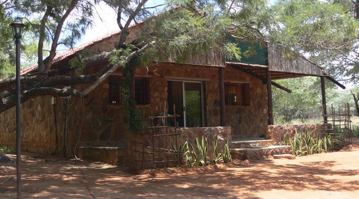 Leopard Lodge & The Cubs