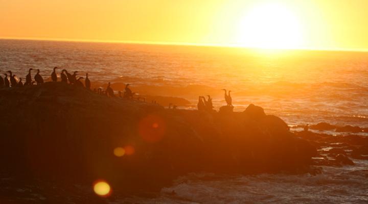 Elands Bay Beach Cottage