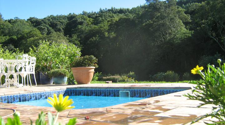 Hornbills Forest Getaway