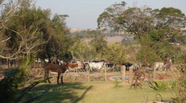 Enaleni Guest Farm