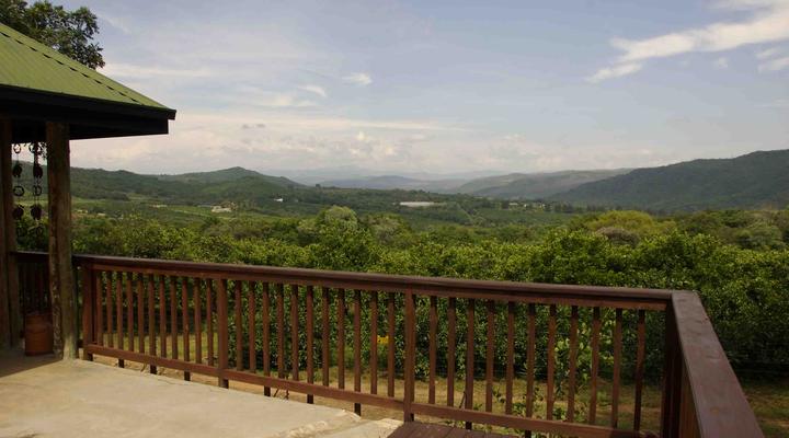 Mahogany Hill Cottage