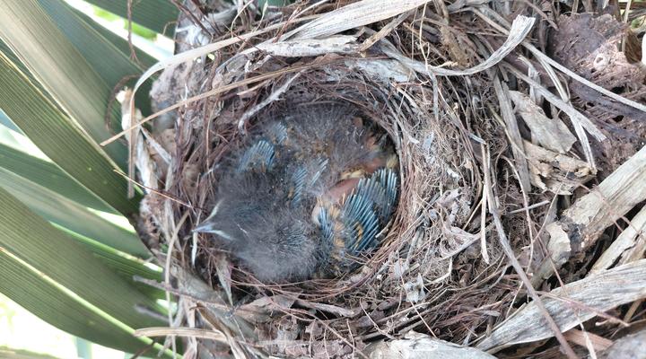 De Molen Guest House