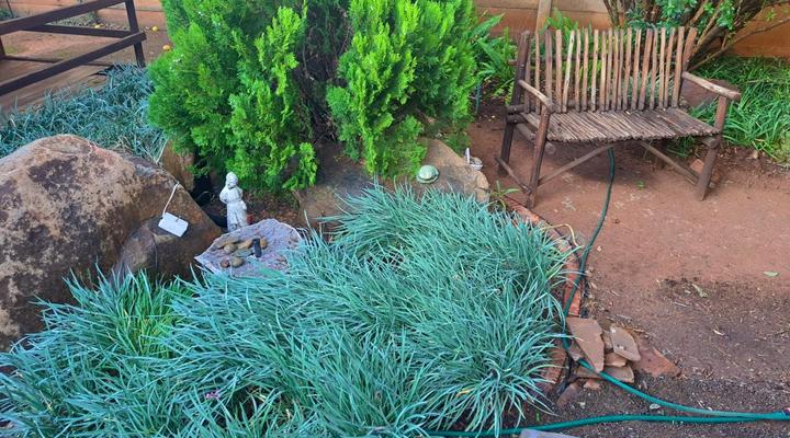 Finch and Fern Guest house