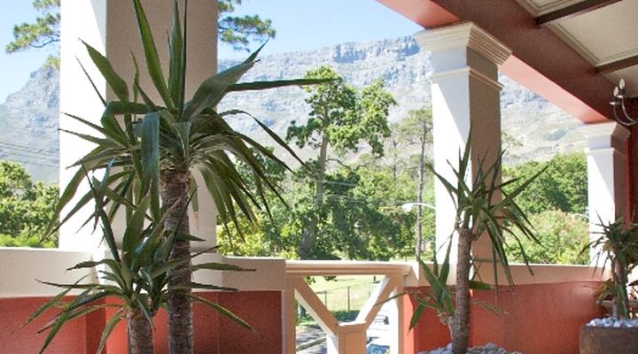 Cactus House Guest House