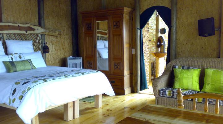 Lazy Leopard Forest Retreat