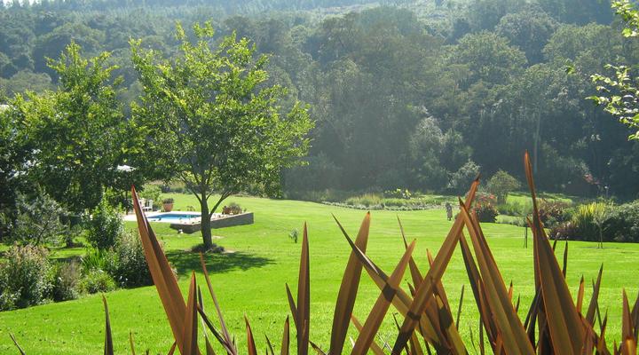 Hornbills Forest Getaway