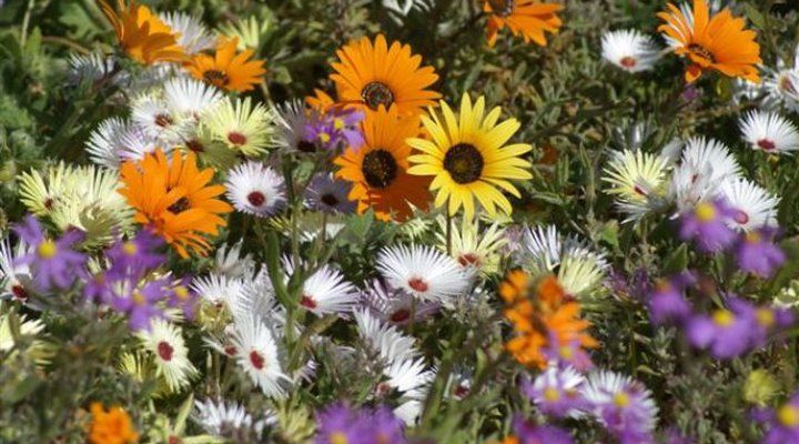 At the Rocks Guesthouse