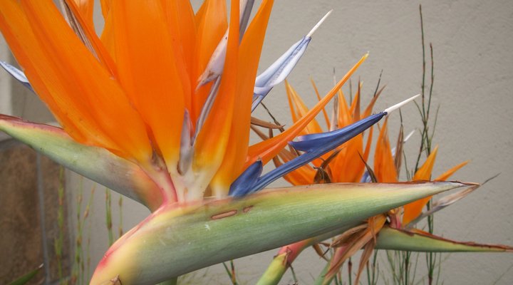 Eikelower Guest House